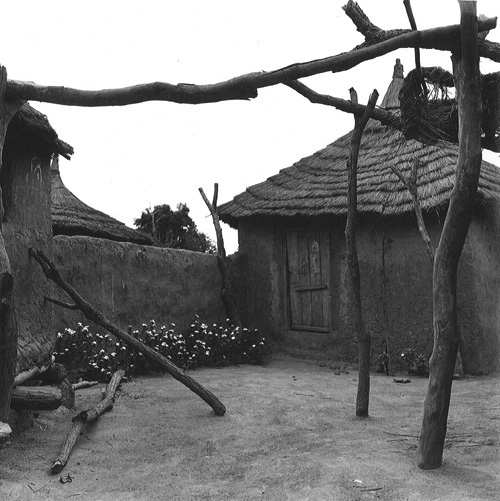 A courtyard with flowers