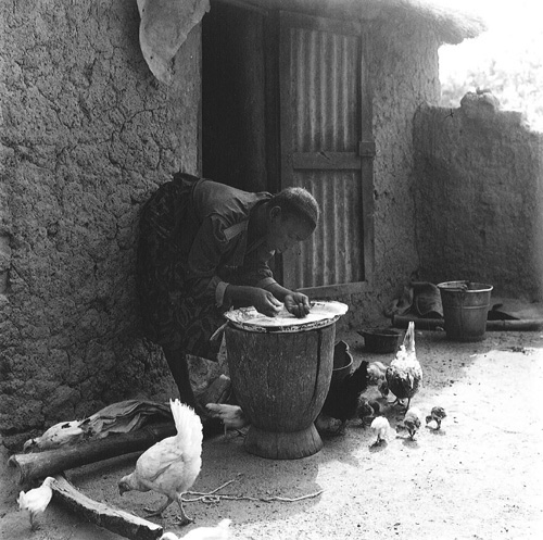 Fotigi's household help in the courtyard