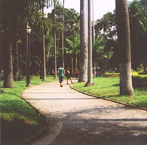 Urban Park in Sao Paulo
