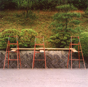 Red Ladders