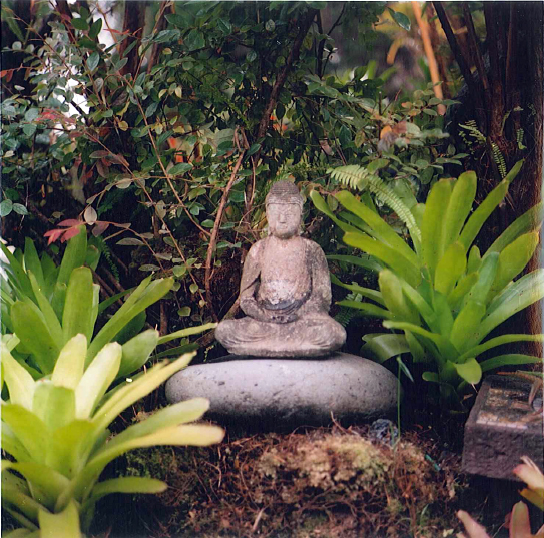 Buddhas abound at the Volcano Garden Arts
